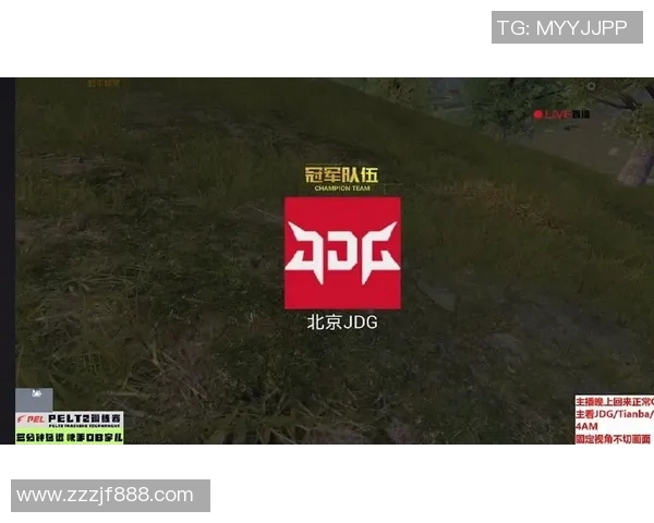 热议和平精英：JDG战队个人能力提升背后的故事与分析