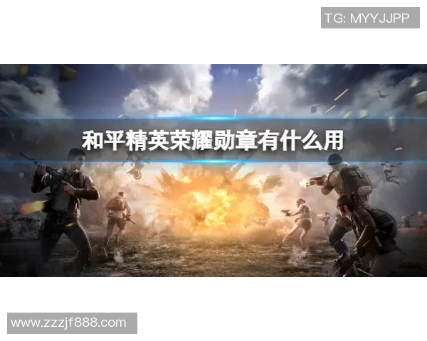 和平精英纪实：见证JDG战队从崛起到巅峰的奋斗与荣耀之路